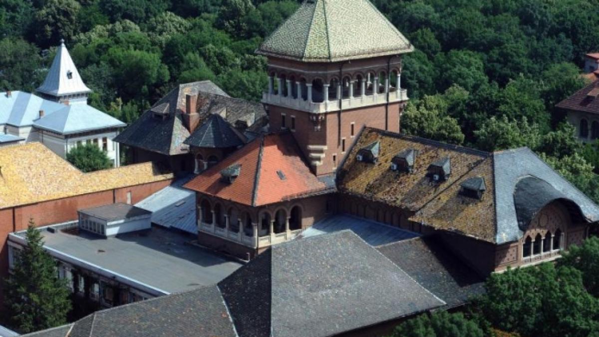 francezii investesc si se stabilesc in micul paris vezi aici povestile lor