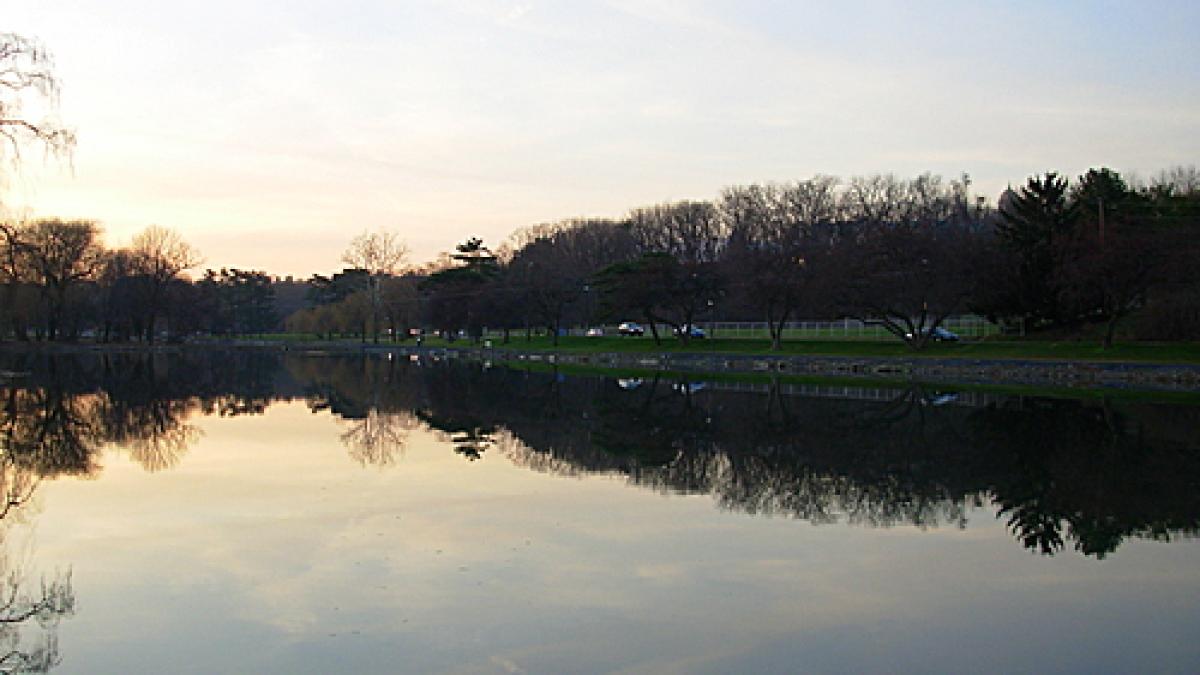 substante radioactive descoperite intr un lac din elvetia