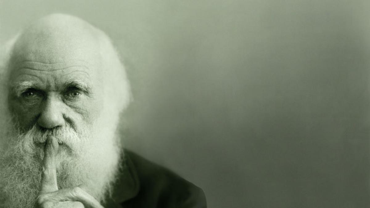 descoperirea care i a distrus pe atei cum face tandari cea mai cunoscuta teorie din lume