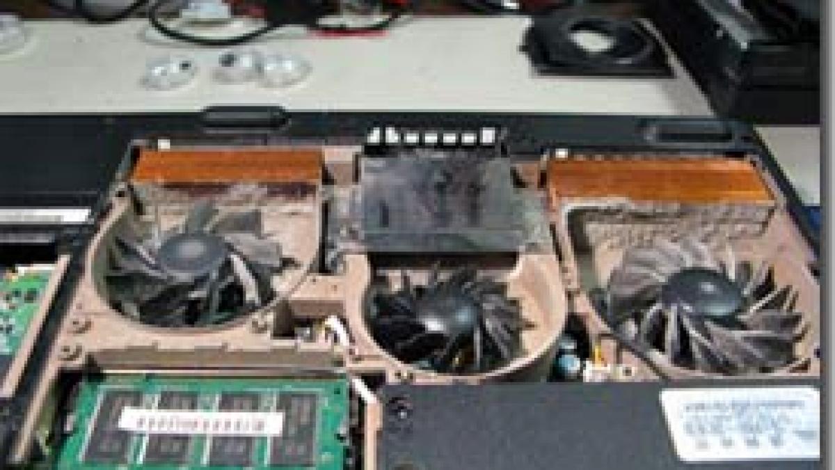 nici prin cap nu iti trece ce se gaseste in laptopul tau am dat peste insecte vin si boabe de susan