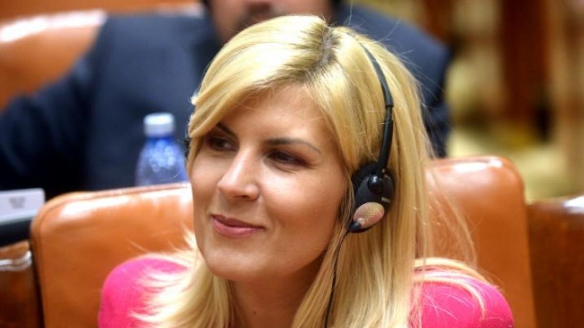 udrea despre posibila candidatura a lui basescu in republica moldova asa s a infaptuit si unirea