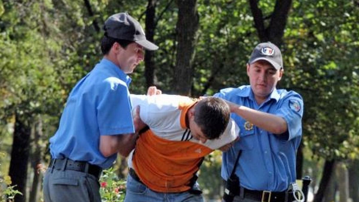 mai putini talhari mai multi rechini economici numarul infractiunilor economice a crescut cu 11 in