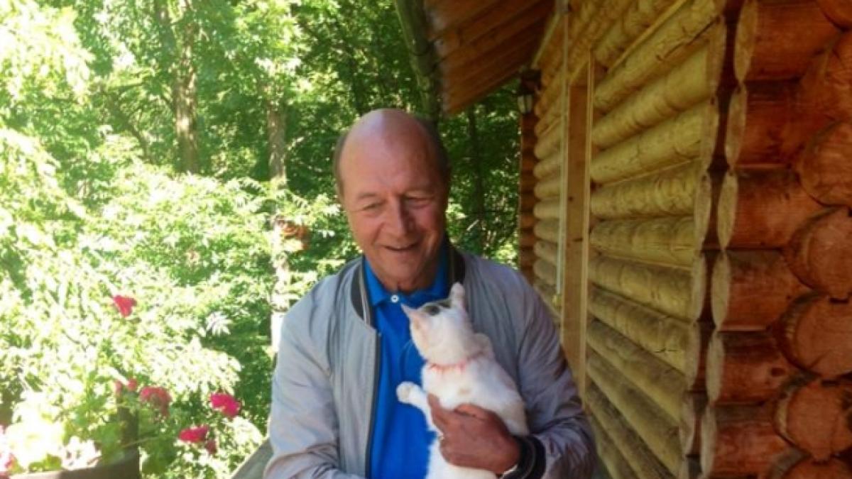 mircea diaconu despre poza cu traian basescu si pisicutzu cineva ne crede prosti