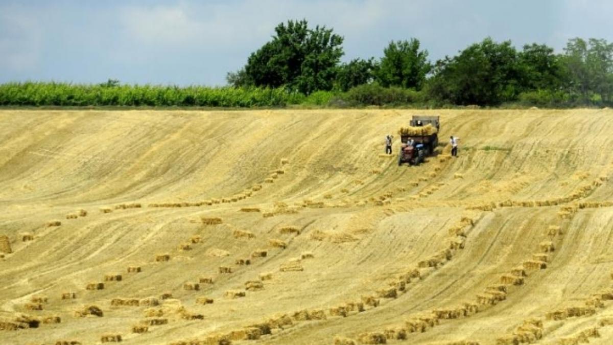 raport economia romaneasca va inregistra in 2013 o crestere de 2 4