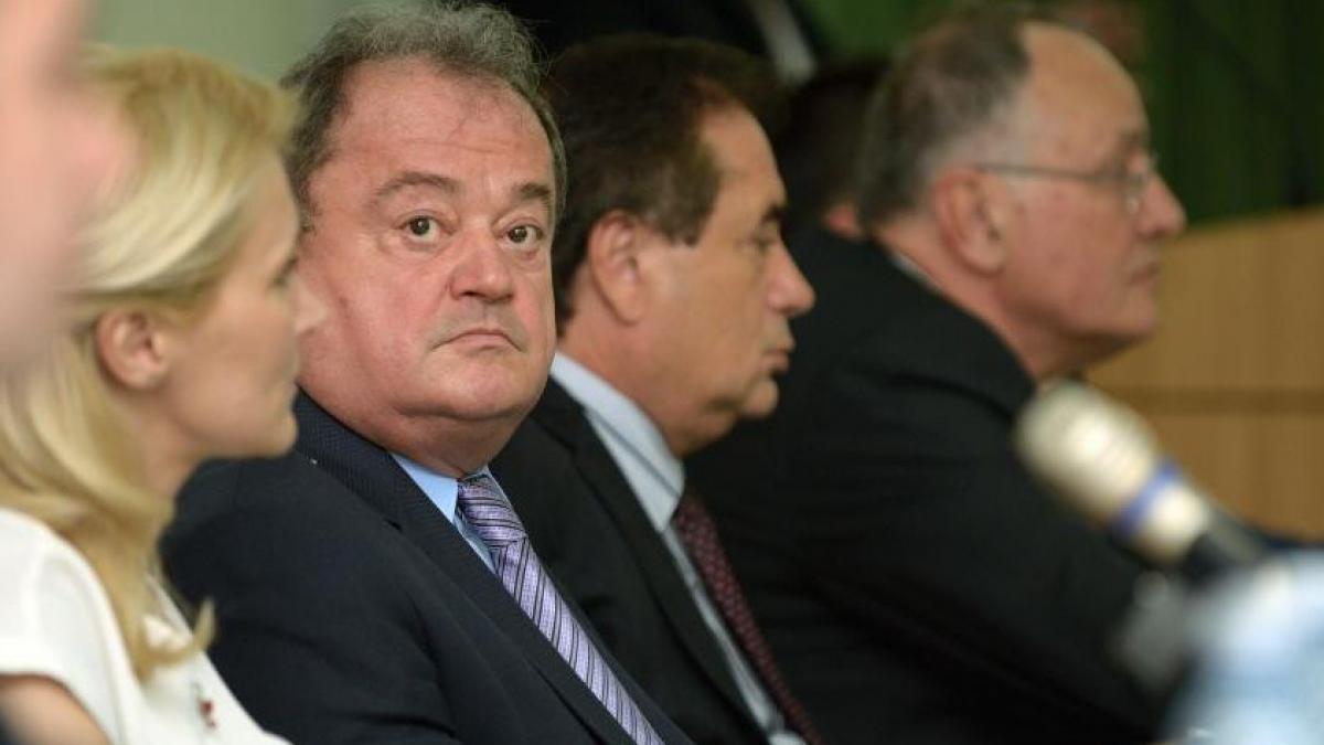 o alta demisie in pdl e posibil sa ma alatur partidului din jurul miscarii populare