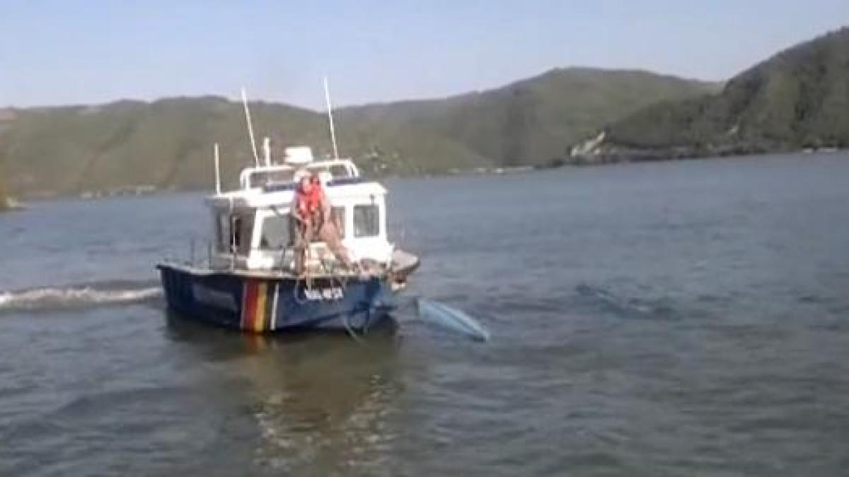 patru turisti cehi s au rasturnat cu ambarcatiunile in dunare in judetul mehedinti