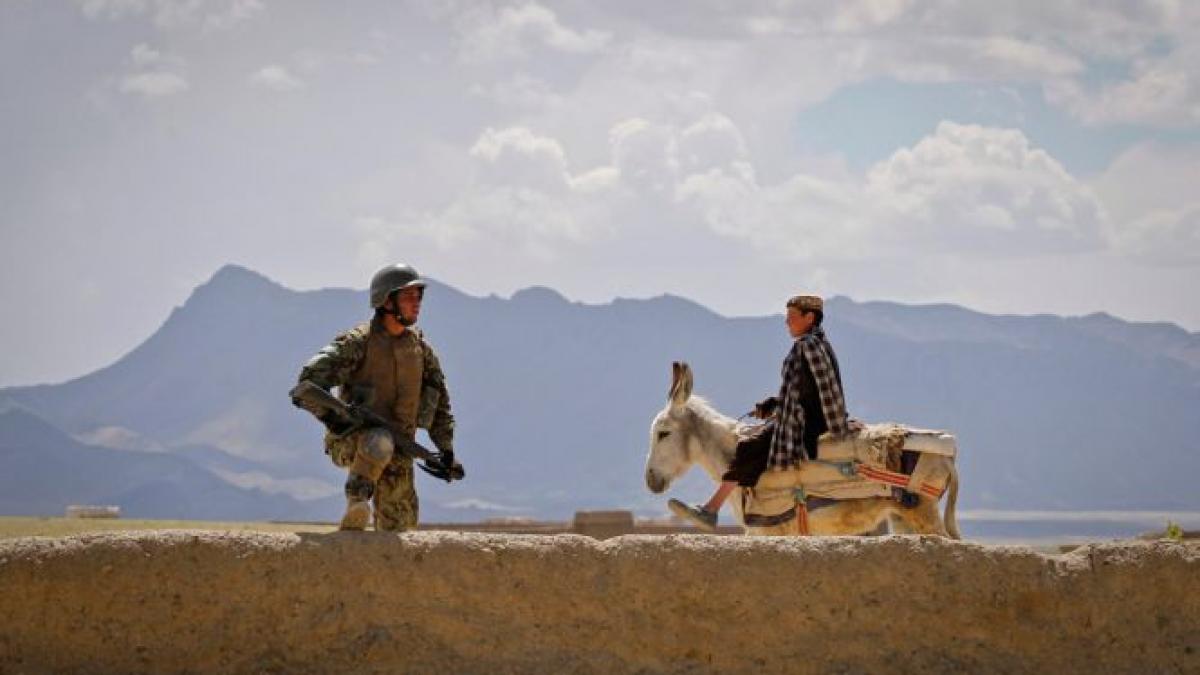 trei militari nato au fost ucisi dupa un atentat sinucigas