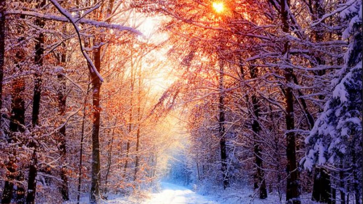 fenomenul care i a surprins pe brazilieni nu s a mai intamplat asa ceva la ei in regiune de peste 5