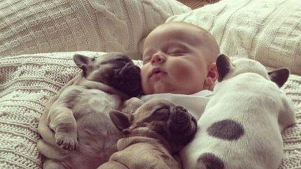 mii de oameni s au topit cand au vazut pozele astea dragostea pentru animale se invata din fasa