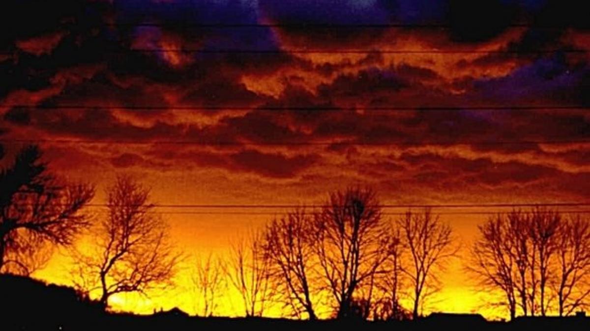 un val de caldura extrema se apropie de romania ungurii fierb la 38 de grade