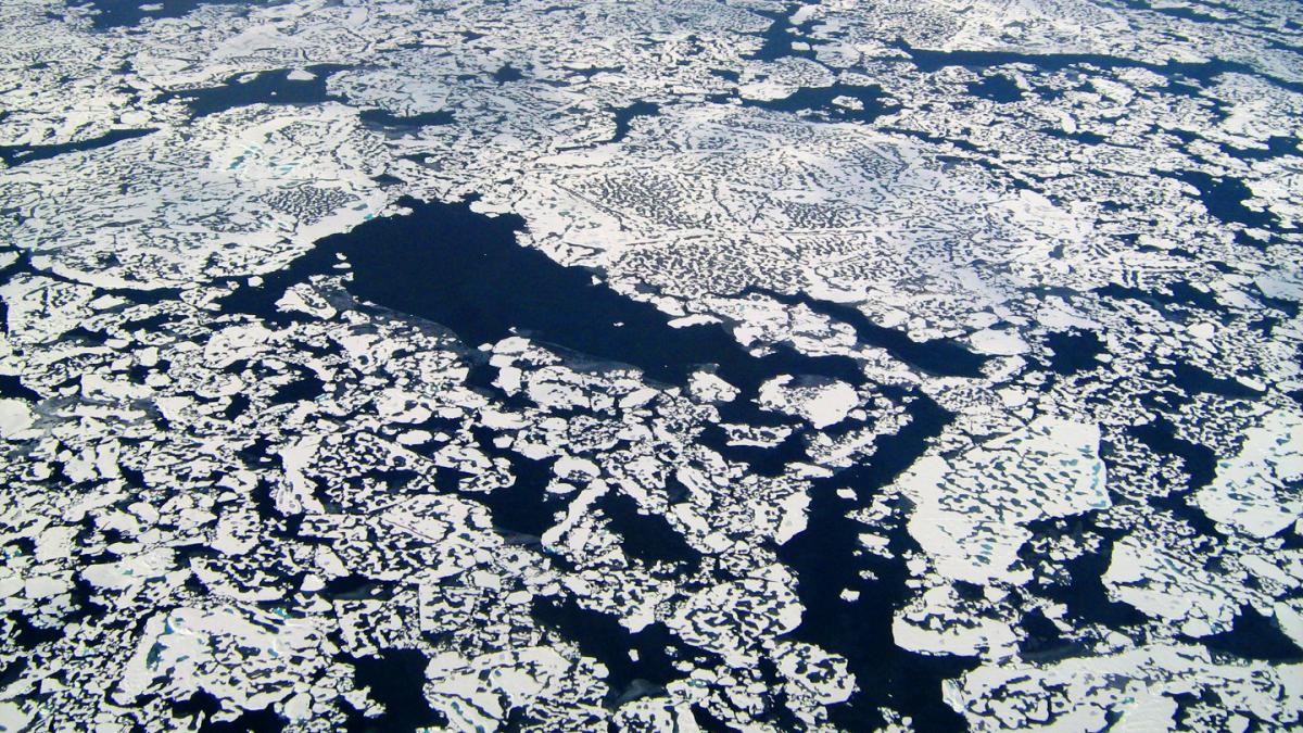 ce se intampla acum in zona arctica va afecta economic intreaga lume privim si nu avem ce face