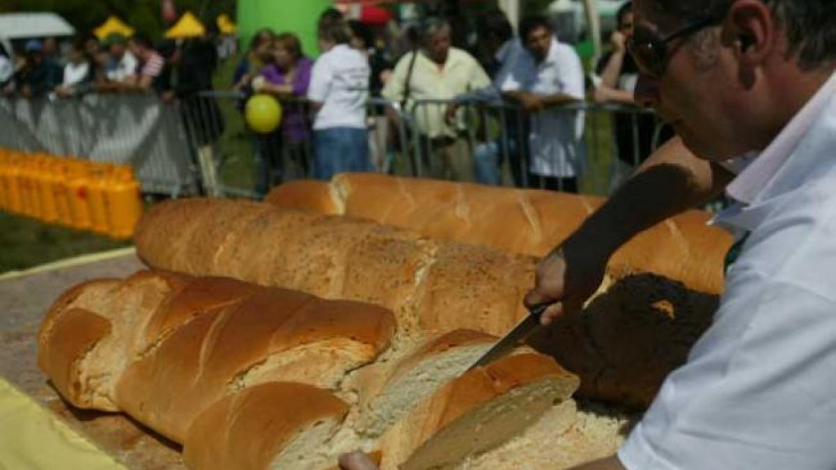 cum se traduce pentru romanii de rand reducerea tva ului la paine un roman mananca 100 de kg de