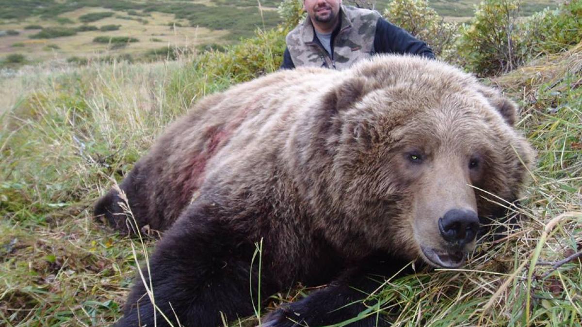 anuntul de pe facebook care i a scandalizat pe romani vom ucide toti ursii vostri sunteti o tara