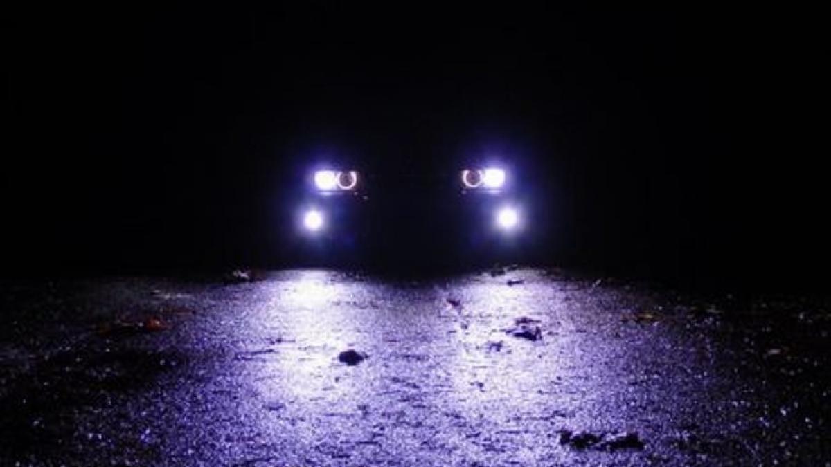 ancheta fara precedent in transporturi sute de soferi profesionisti cu acte false