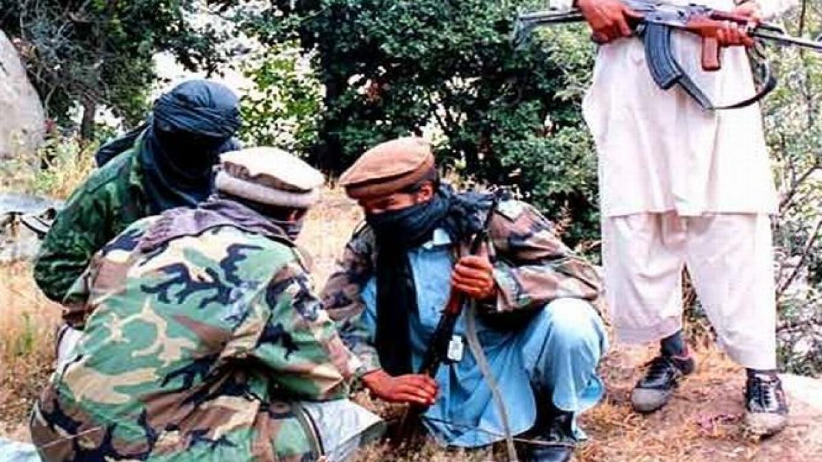 cinci militanti au fost ucisi in kashmirul indian