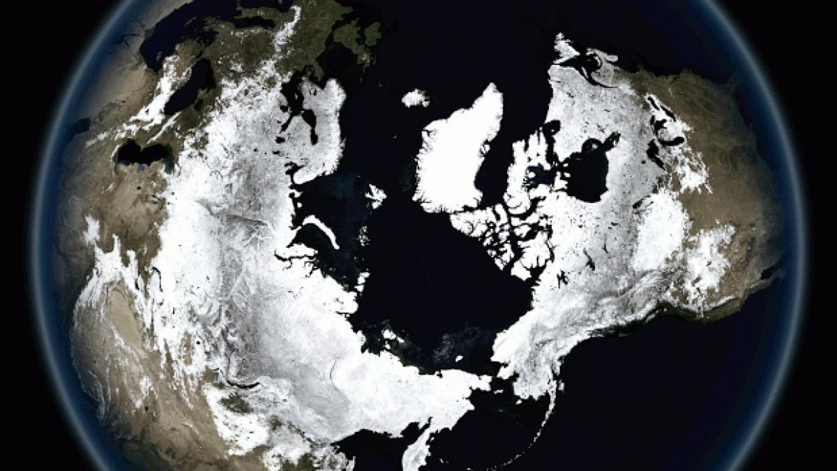 cum respira pamantul vezi schimbarile prin care trece terra intr un an