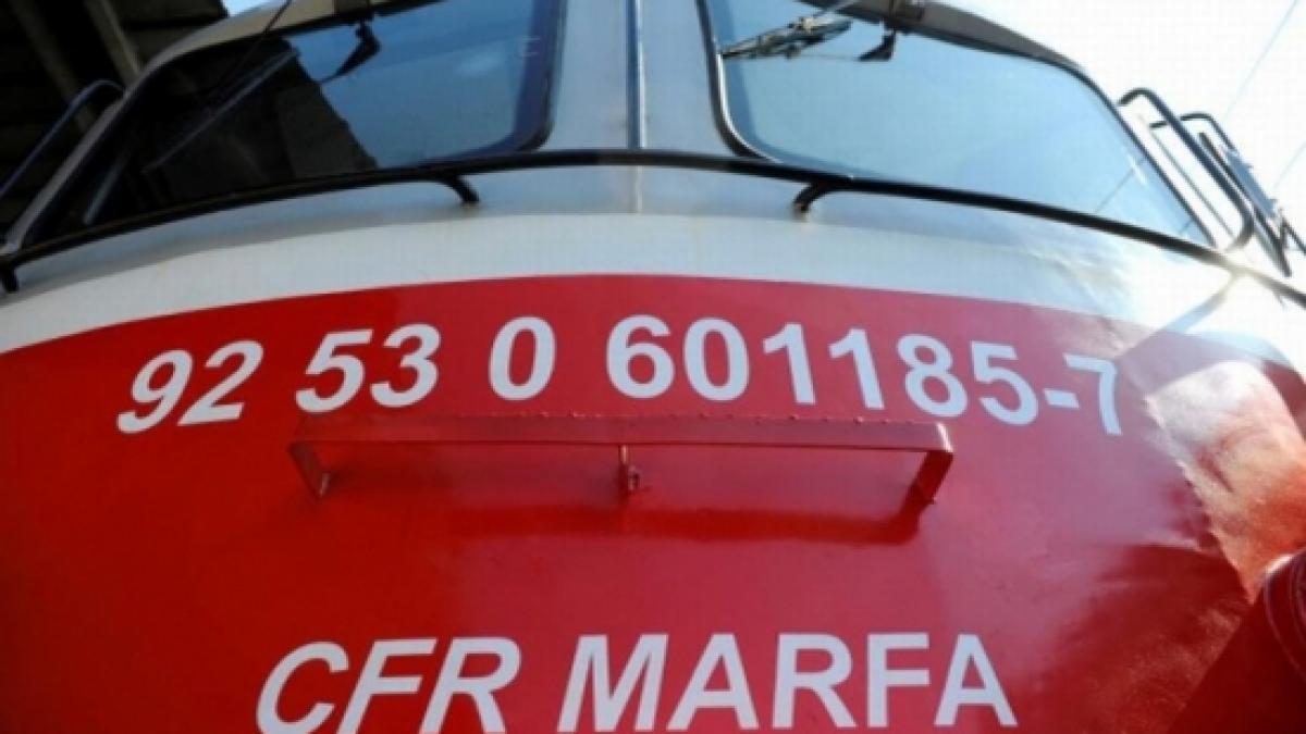 fota guvernul a cerut introducerea pe ordinea de zi a subiectului cfr marfa nu avizarea privatizarii