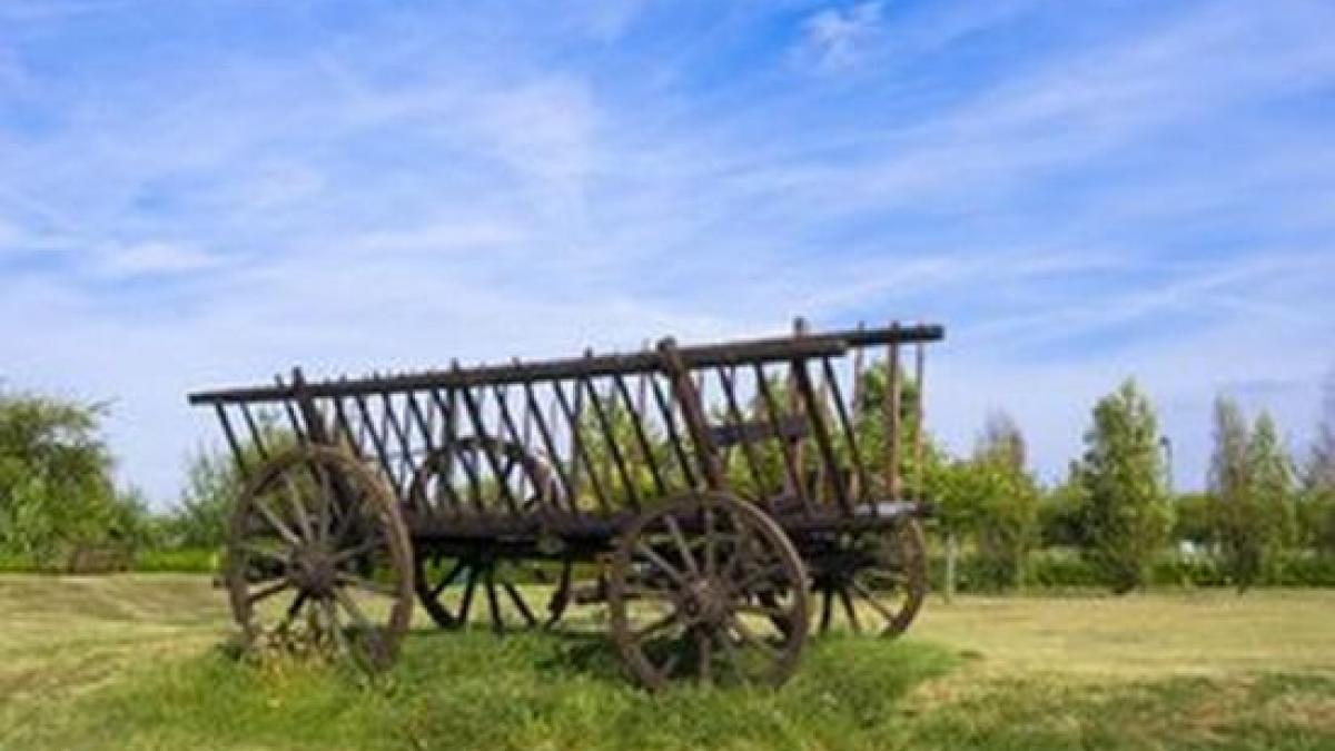 mai multi localnici din harghita si au transformat satul intr o afacere turistica vezi cu ce ii