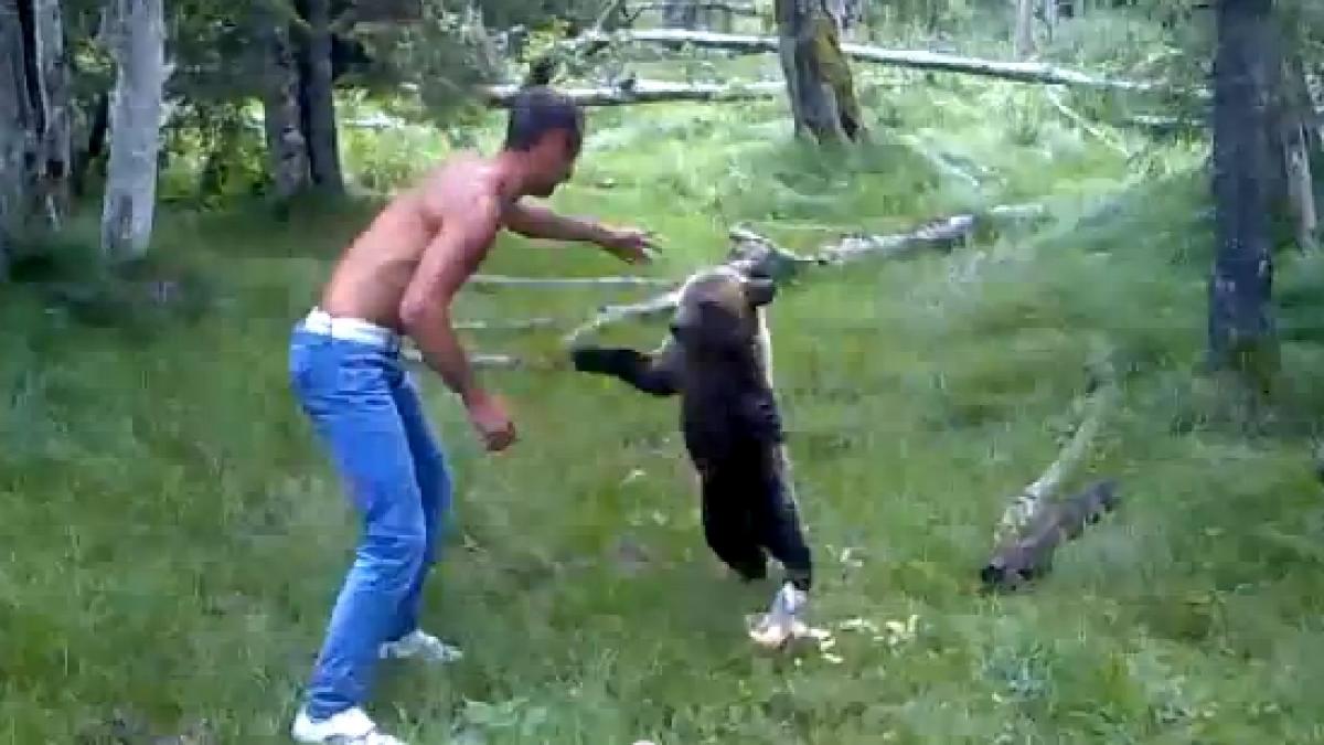 uite ma avem de povestit din excursie mai multi barbati s au filmat in timp ce loveau un pui de urs