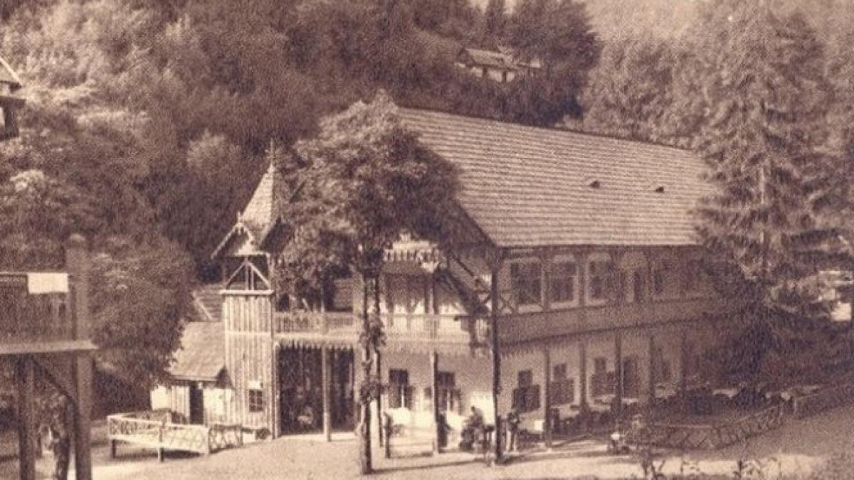 cosbuc sadoveanu si blaga si au scris operele aici complexul de la poalele muntilor rodnei este