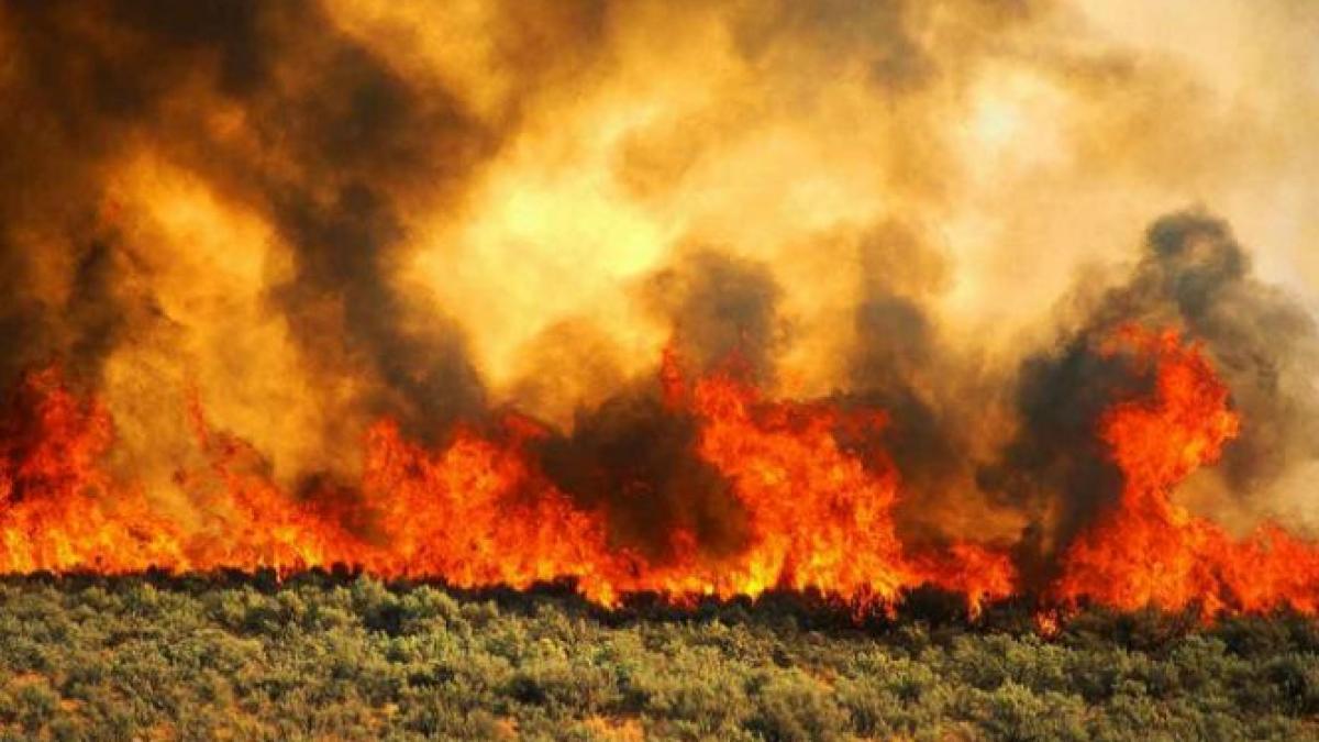 incendiu de vegetatie in otopeni in apropierea aeroportului