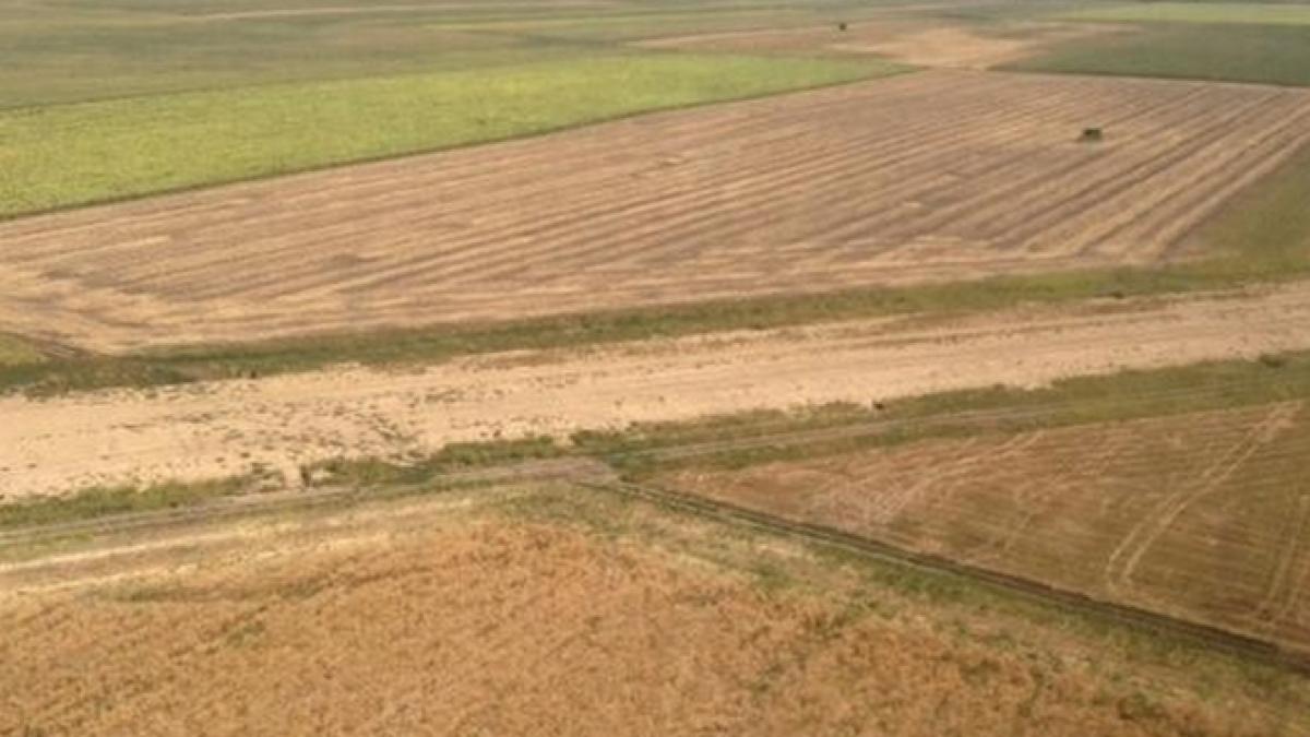 presedintele traian basescu ataca guvernul si pe facebook