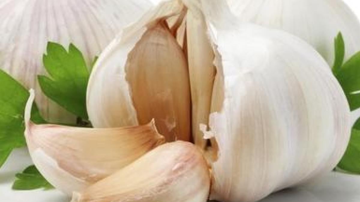 usturoiul ii protejeaza pe fumatori de cancer la plamani