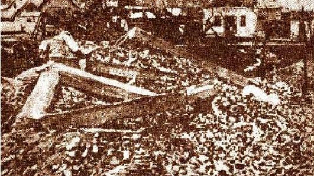 cand ungurii au aruncat o pe mama in groapa au zis ca vor sa vada cum arata grasimea de roman