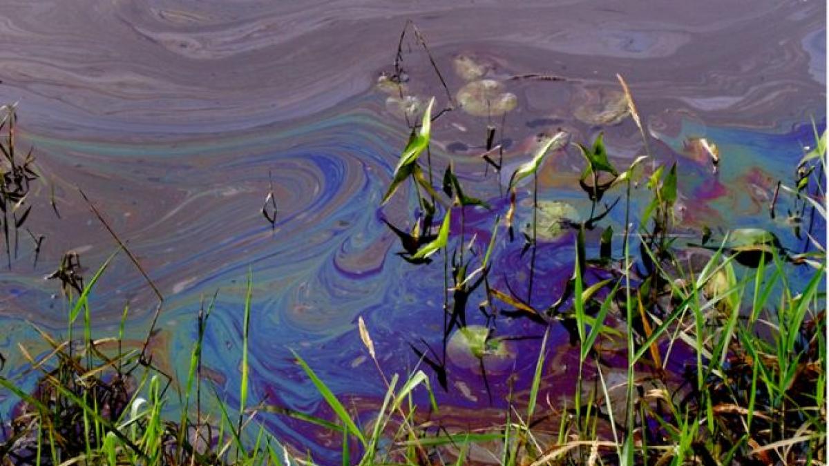 poluare pe raul somes o imensa pata de ulei observata pe suprafata apei