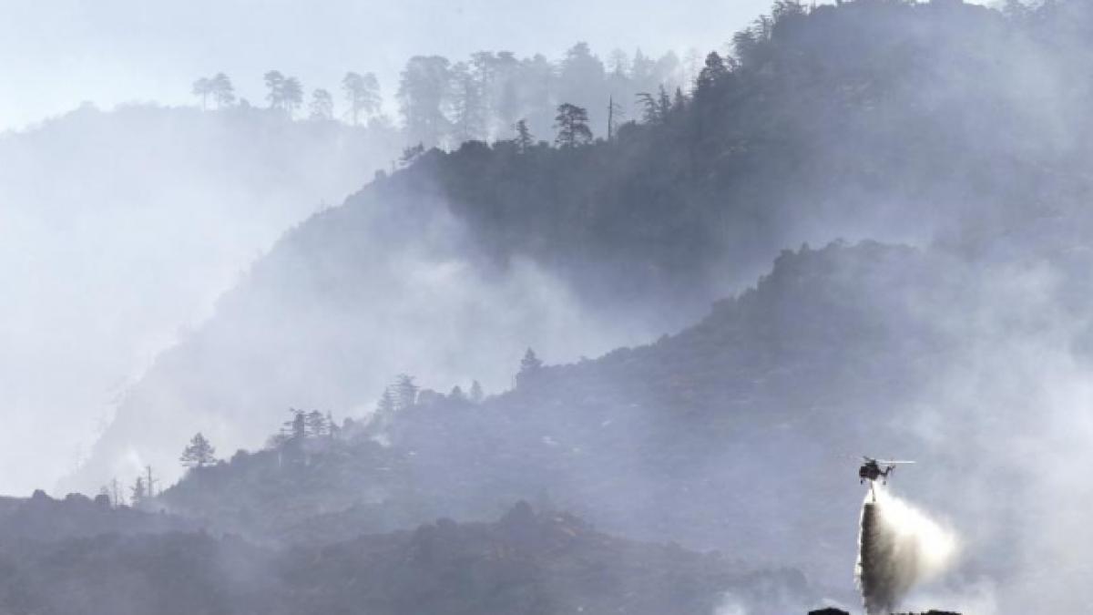 incendiu masiv in los angeles peste 1 600 de pompieri se lupta cu flacarile