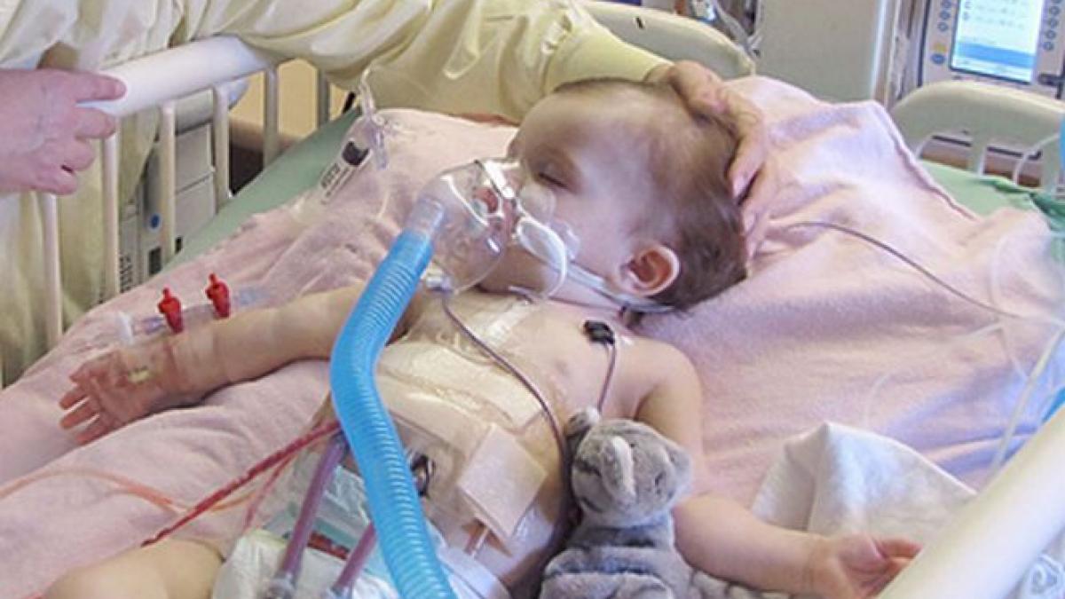 este uimitor cum unii oameni profita de suferinta acestor copii voluntara din cadrul unei fundatii