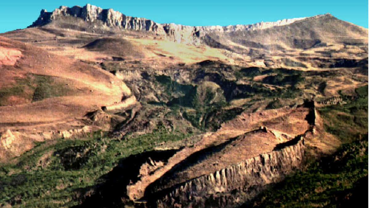 teoria care arunca in aer evolutionismul noe a luat asta cu el pe arca e un adevar biblic