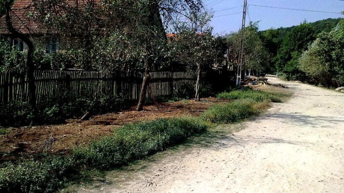 satul din romania unde taranii sunt tratati ca niste sclavi unei femei i a fost retrocedat tot satul