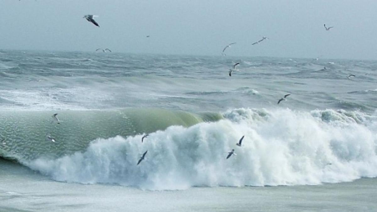 un tanar component al nationalei de fotbal a artistilor a murit inecat in statiunea jupiter