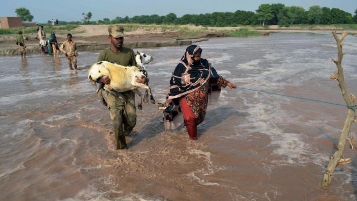 aproape un milion de oameni din pakistan au fost afectati de inundatii