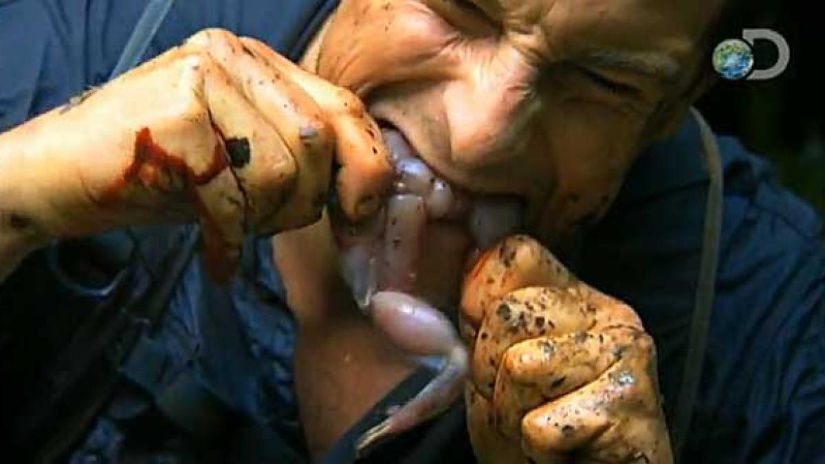 imaginea postata de bear grylls pe internet i a innebunit pe fani cazi foarte repede