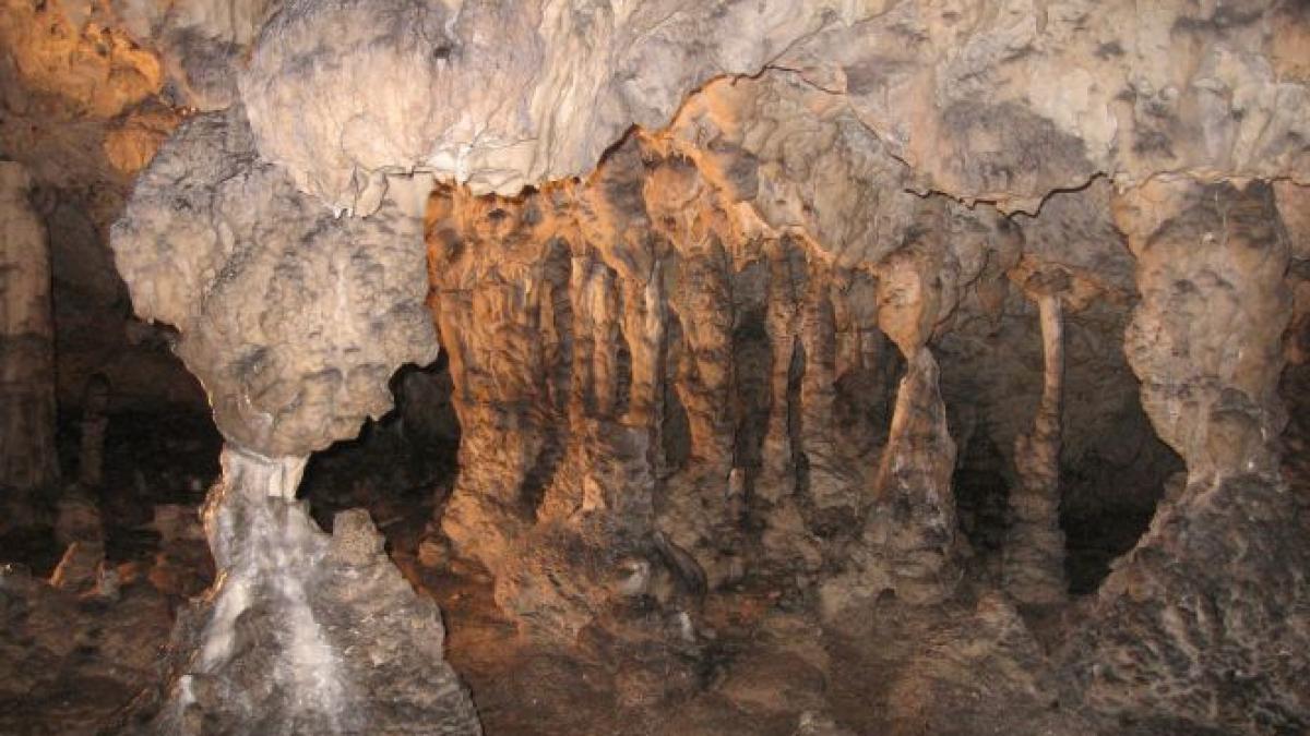 mama monicai gabor a murit in urma unui incident petrecut la pestera polovragi