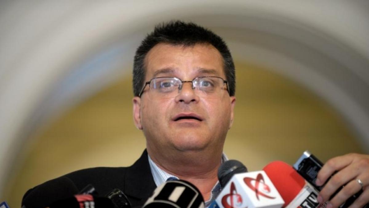 nini sapunaru in atentia dna o firma care a apartinut liberalului cercetata penal