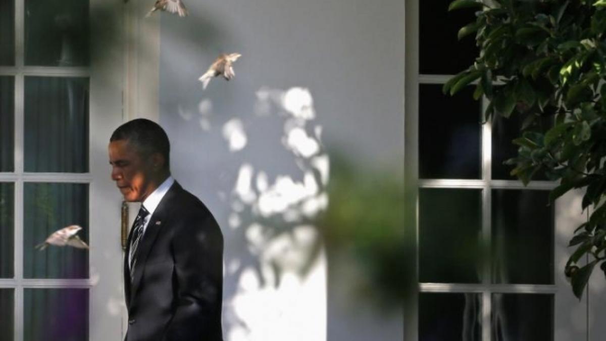 update sua si marea britanie au tot mai multe semne ca regimul din siria a folosit arme chimice