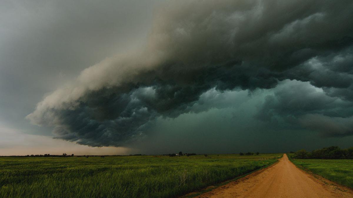 anuntul pe care specialistii l au facut acum in doua judete din tara va fi prapad