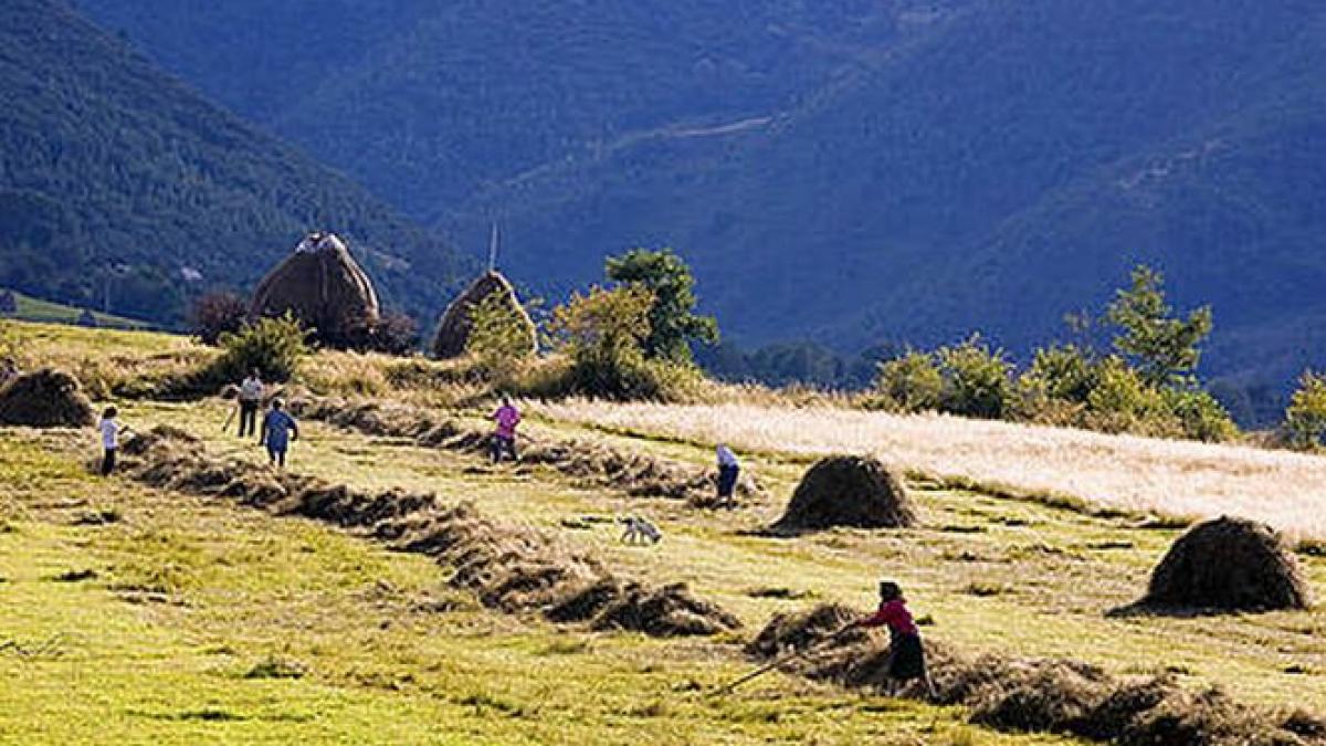 Proiect controversat. Cum îşi pot pierde statutul ariile naturale protejate