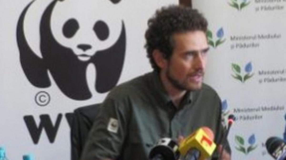 wwf romania protesteaza fata de proiectul de ordonanta care va permite desfiintarea abuziva a