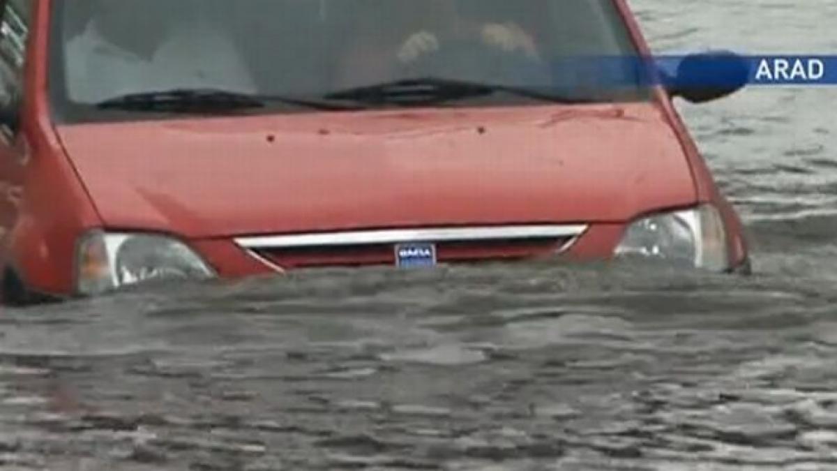 ploile torentiale au facut prapad in arad masinile au fost inghitite de apa