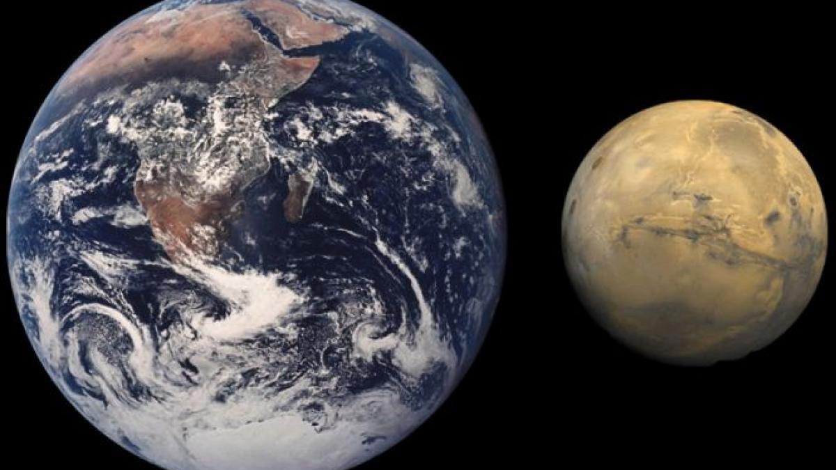 studiul care arata cum au luat nastere primele forme de viata de pe pamant