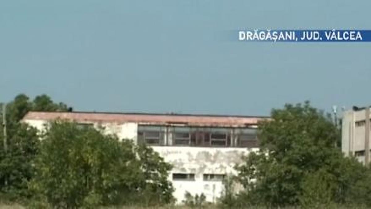 gigi becali executat silit pentru ca nu a platit impozitele uzinii mecanice dragasani