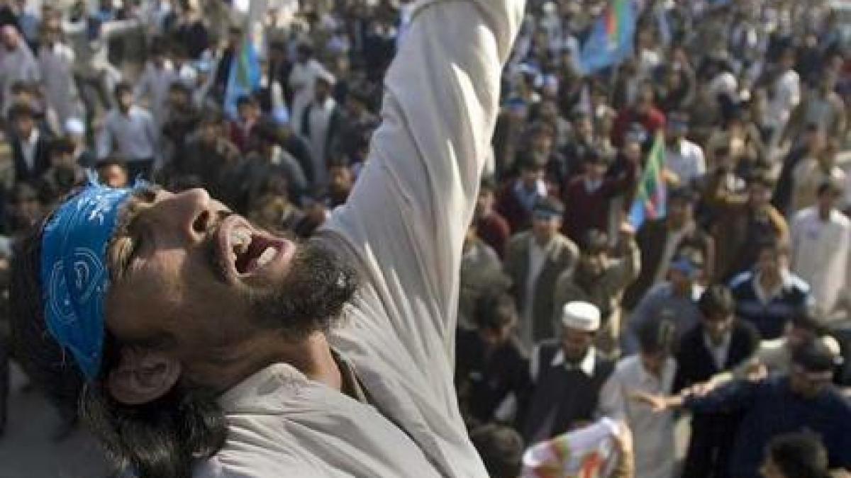 al qaeda critica fratii musulmani au ajuns sa se bata pentru democratie nu pentru jihad