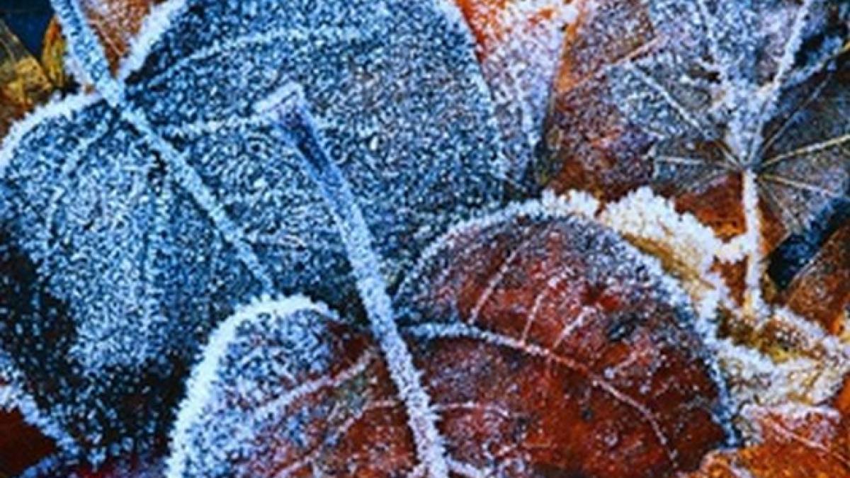 toamna nu vrea sa se lase asteptata meteorologii aduc vesti proaste pentru zilele urmatoare