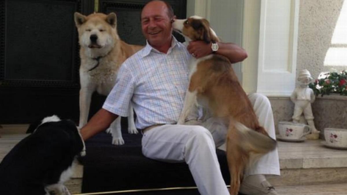 basescu a publicat fotografii cu cainii adoptati de el de pe strada daca ii iubesti cu adevarat ii