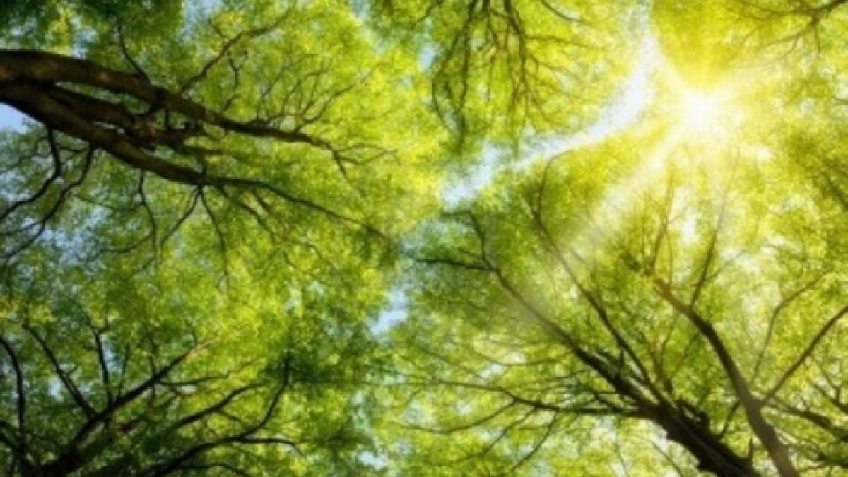 ce surprize ne rezerva vremea in urmatoarele zile vezi prognoza meteo