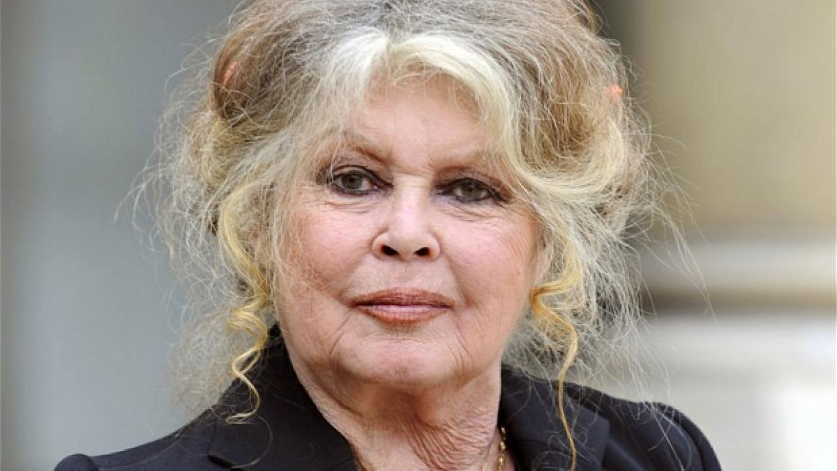 scrisoarea trimisa de brigitte bardot presedintelui e o razbunare socanta care nu isi are locul